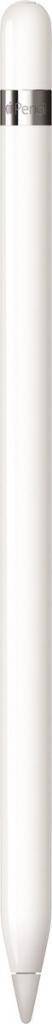 Apple Pencil stylus pen (1e generatie) -2 jaar garantie, Computers en Software, Apple iPads, Apple Distribution International