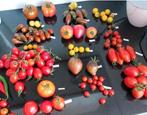 Tomatenzaden diverse soorten, Tuin en Terras, Bloembollen en Zaden, Ophalen, Gehele jaar, Volle zon, Zaad