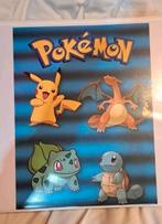 Grote Pokémon Map, Ophalen of Verzenden, Zo goed als nieuw, Boek of Catalogus