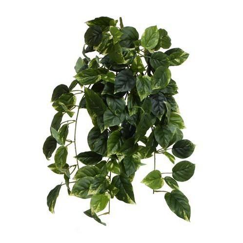 Prachtige kunst hangplant nieuw, Huis en Inrichting, Woonaccessoires | Kunstplanten en Kunstbloemen, Nieuw, Ophalen of Verzenden
