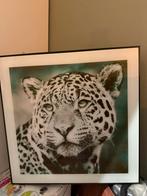 Mooie poster in lijst, Ophalen