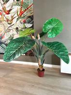 Strelitzia  kunstplant in pot merk: Silka, Ophalen, Zo goed als nieuw, Binnen