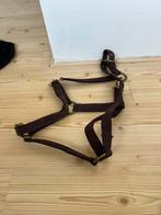 Bruin goud Halster, Dieren en Toebehoren, Ophalen of Verzenden, Zo goed als nieuw