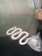 Slangen Skelet - Uniek Decoratie Stuk!, Ophalen of Verzenden, Nieuw, Reptiel of Amfibie