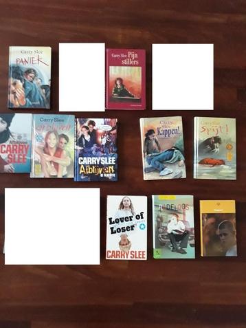 PAKKET  CARRY SLEE BOEKEN beschikbaar voor biedingen