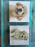 Mini schilderijtjes hondjes, Ophalen, Nieuw, Beeldje, Overige merken