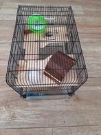 Luxe hamsterkooi met toebehoren, Kooi, Minder dan 75 cm, Zo goed als nieuw, Hamster