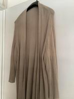 Mooi vest maat 48, Kleding | Dames, Grote Maten, Ophalen of Verzenden, Zo goed als nieuw, Beige, Trui of Vest