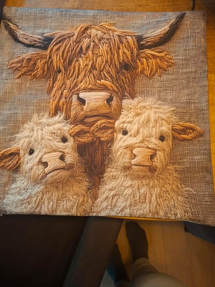 Kussen met Schotse Hooglanders, Huis en Inrichting, Woonaccessoires | Kussens, Zo goed als nieuw, Bruin, Vierkant, Ophalen of Verzenden