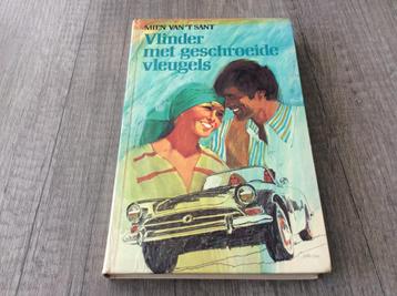 Mien van't Sant - Vlinder met geschroeide vleugels beschikbaar voor biedingen
