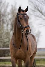 Lieve 5jarige ruin met stoer uiterlijk!, Dieren en Toebehoren, Paarden, B, Gechipt, Ruin, Dressuurpaard