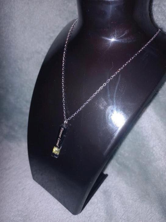 Herdenkingsketting Roestvrijstaal Nieuw, Sieraden, Tassen en Uiterlijk, Kettingen, Nieuw, Overige materialen, Zilver, Ophalen of Verzenden