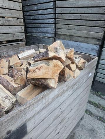 haardhout vers naaldhout grove den  beschikbaar voor biedingen