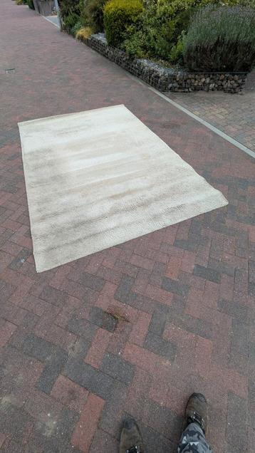 Vloerkleed 200 x 300