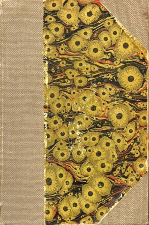 kathechismus der muziek d. keuskamp 1919, Boeken, Muziek, Gelezen, Algemeen, Verzenden