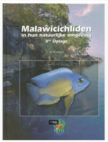 Malawicichliden in hun natuurlijke omgeving - Ad Konings   beschikbaar voor biedingen