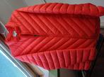 Jas, tussenjas, rood, maat L, Kleding | Dames, Ophalen of Verzenden, Zo goed als nieuw, Maat 42/44 (L), Rood