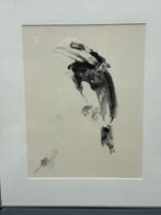 TOEKAN van Nico Molenkamp, Antiek en Kunst, Kunst | Litho's en Zeefdrukken, Ophalen