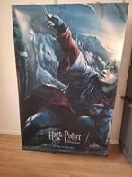 Filmposter Harry Potter  200x120cm, Verzamelen, Posters, Deurposter of groter, Ophalen of Verzenden, Film en Tv, Rechthoekig Staand