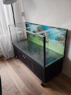 Aquarium te koop, Dieren en Toebehoren, Ophalen of Verzenden, Zo goed als nieuw