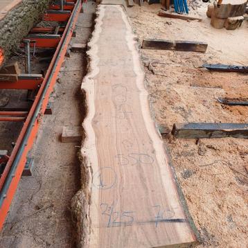 Mooie schaaldelen/planken van een eik 4,5 mtr lang beschikbaar voor biedingen