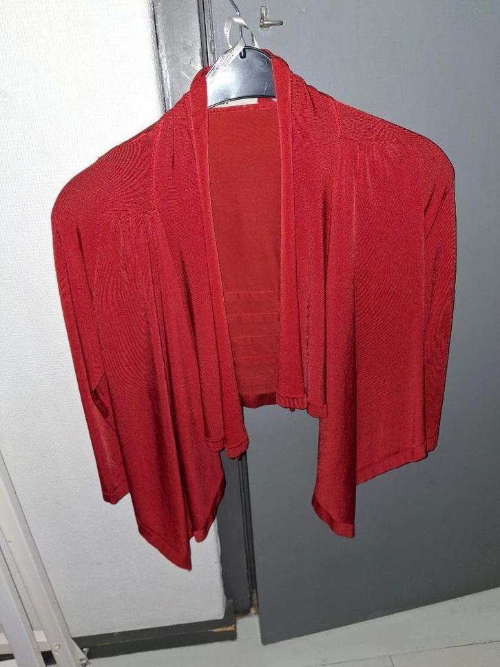 Karen Millen: Rood loshangend vestje, Kleding | Dames, Truien en Vesten, Zo goed als nieuw, Rood, Ophalen of Verzenden