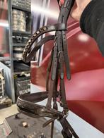 Stang en trens hoofdstel donkerbruin full, Ophalen of Verzenden, Gebruikt, Dressuur