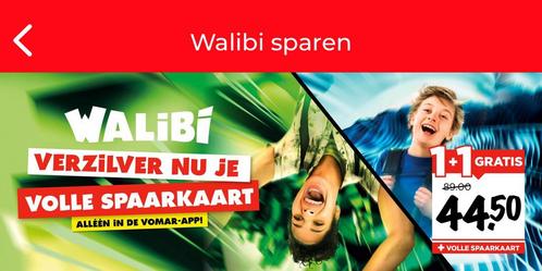 Walibi kortingscode t/m 4 jan 2026, Tickets en Kaartjes, Recreatie | Pretparken en Attractieparken, Kortingskaart