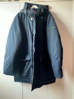 Tommy hilfiger winterjas, Ophalen of Verzenden, Nieuw, Blauw