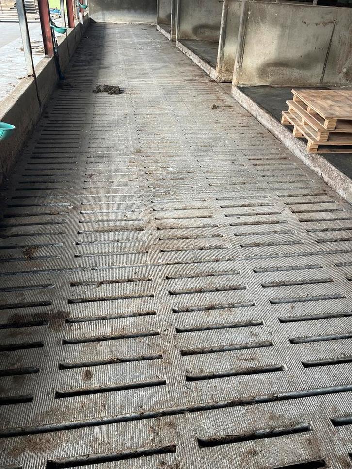 Veeroosters, Doe-het-zelf en Verbouw, Overige Doe-het-zelf en Verbouw, Zo goed als nieuw, Ophalen