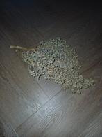 Dadeltak, Ophalen of Verzenden, Nieuw