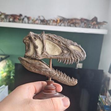 Rebor yutyrannus museum klasse schedel replica beschikbaar voor biedingen