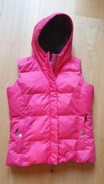 GAASTRA Bodywarmer maat S, Kleding | Dames, Bodywarmers, Gaastra, Ophalen of Verzenden, Roze, Zo goed als nieuw