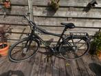 Trek Daytona, TREK, Gebruikt, Versnellingen, Ophalen