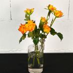 Vintalage: Glazen laboratorium vaas, Huis en Inrichting, Minder dan 50 cm, Glas, Zo goed als nieuw, Ophalen