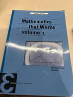 Mathematics that Works Vol. 1 - Maarten de Gee, Ophalen, Beta, Gelezen, HBO