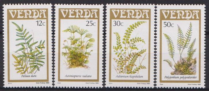 Venda (Z-Afrika) 1985 Tropische planten varens, Postzegels en Munten, Postzegels | Thematische zegels, Postfris, Dier of Natuur