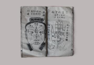 (1890) Antiek Chinees - fysiognomie met 14 prenten beschikbaar voor biedingen