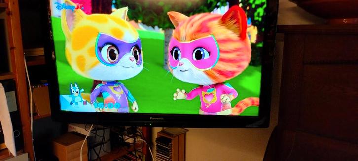 Panasonic televisie type TX-L37S20E, Audio, Tv en Foto, Televisies, Gebruikt, LCD, 80 tot 100 cm, Full HD (1080p), Panasonic, 100 Hz