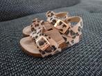 Leuke sandalen met luipaardprint, maat 22, Ophalen, Schoentjes, Zo goed als nieuw, Draakjes en boefjes
