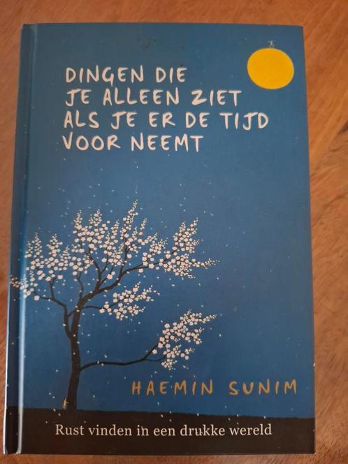 Dingen die je alleen ziet - Haemin Sunim, Boeken, Esoterie en Spiritualiteit, Zo goed als nieuw, Achtergrond en Informatie, Spiritualiteit algemeen