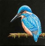 Schilderij IJsvogel - Vogelkunst., Ophalen of Verzenden