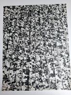 Fotogravure - Jaren 60/70 -, Antiek en Kunst, Kunst | Etsen en Gravures, Ophalen of Verzenden