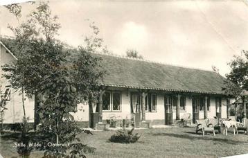 (377-665-019) Oisterwijk Stille Wilde beschikbaar voor biedingen