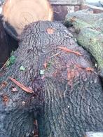 Stammen Eikenhout, Tuin en Terras, Haardhout, 6 m³ of meer, Ophalen of Verzenden, Eikenhout, Stammen