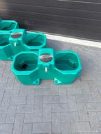 weidedrinkbakken wt 80 nieuw, Mannelijk, Schaap
