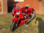 Hondat vtr 1000 sp1, Motoren, Motoren | Honda, Particulier