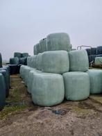 Kuilbalen september 2025, Dieren en Toebehoren, Dierenvoeding, Ophalen of Verzenden, Vee