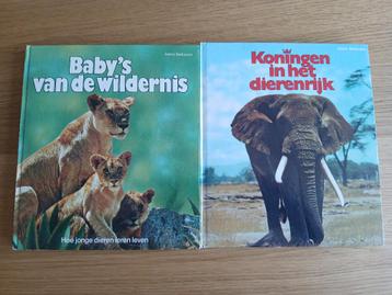 Heinz Sielmann Koningen ih dierenrijk en Baby's vd wildernis beschikbaar voor biedingen