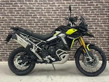 Triumph TIGER 900 RALLY PRO (bj 2025) beschikbaar voor biedingen
